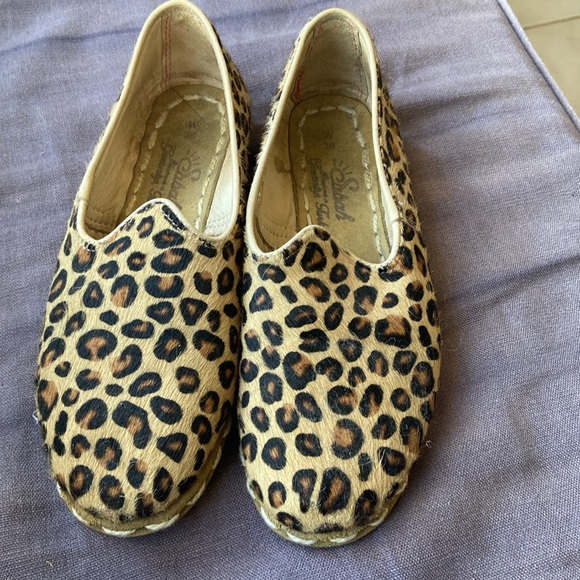 Loose Leopard Sabah - Picture 2 of 11